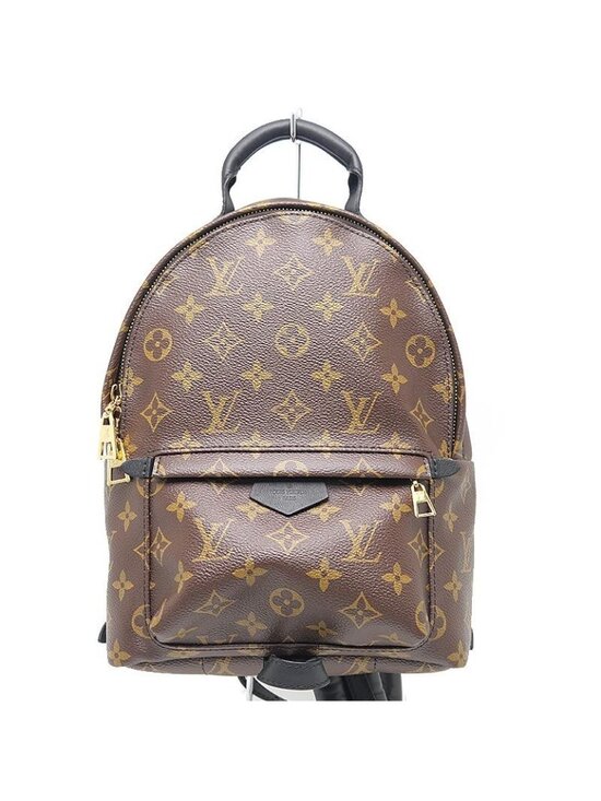 Louis Vuitton Monogram Palm Springs Backpack PM main image 5